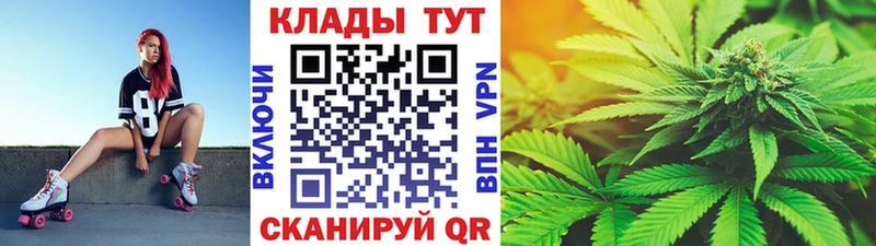 Где найти наркотики Уяр Амфетамин  Alpha PVP  Псилоцибиновые грибы  Cocaine  ГАШ  МЕФ 